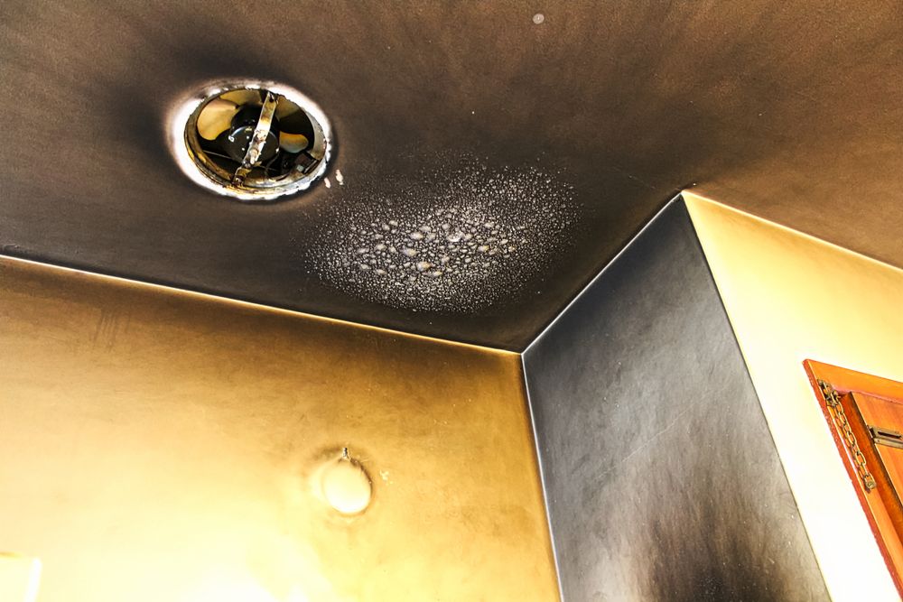 Fire Damage – Insurance Repairs